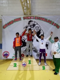 Destaca delegaci&oacute;n yucateca de luchas asociadas en CDMX
