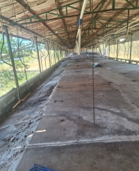 Clausuran granja Santa Mar&iacute;a Chi; retiran miles de cerdos