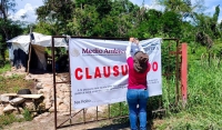 Ordena Profepa definitiva e inmediata de granja porc&iacute;cola