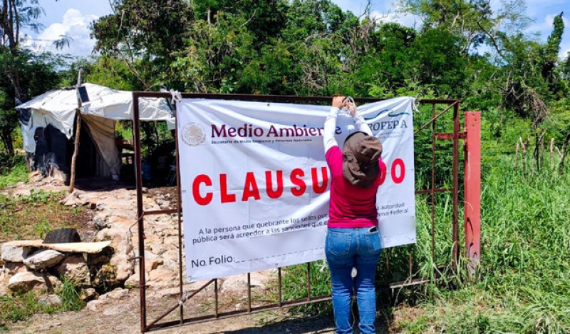 Ordena Profepa definitiva e inmediata de granja porcícola