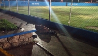 Convulsiona y muere en un parque de b&eacute;isbol