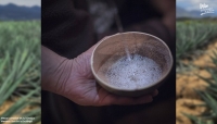 Validan científicos método artesanal para medir alcohol en mezcal