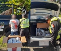 Aseguran cannabis en puesto de inspecci&oacute;n de la SSP