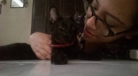 Crece cultura de adopci&oacute;n de mascotas en M&eacute;rida