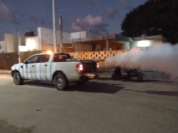 Presentan programaci&oacute;n semanal de fumigaci&oacute;n