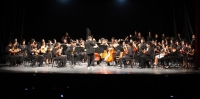 Artistas yucatecos recaudan v&iacute;veres