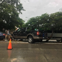 Camioneta se sube al camell&oacute;n y tira &aacute;rbol