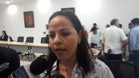 Impuestos a empresas for&aacute;neas, v&iacute;a para obtener recursos: Lila Fr&iacute;as