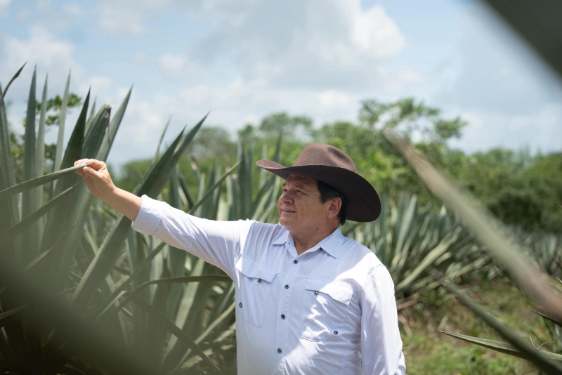 Millonaria inversión para rescatar el henequén