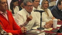 Morena apoyar&iacute;a desaparici&oacute;n de pluris