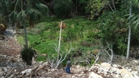 Sigue impune delito ambiental en cenote de Tizim&iacute;n