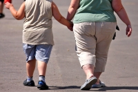 Obesidad en padres acent&uacute;a diabetes e infertilidad en hijos y nietos