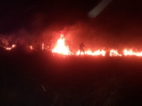 Temporada de quemas ocasiona 40 incendios en Yucat&aacute;n