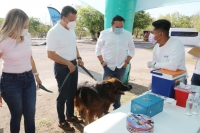 Brigada de la Salud ofrece vacunaci&oacute;n antirr&aacute;bica y atenci&oacute;n veterinaria