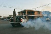 Casos de dengue a la baja en Yucat&aacute;n
