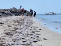 Comit&eacute; de Marea Roja actualiza se&ntilde;alizaci&oacute;n en playas yucatecas