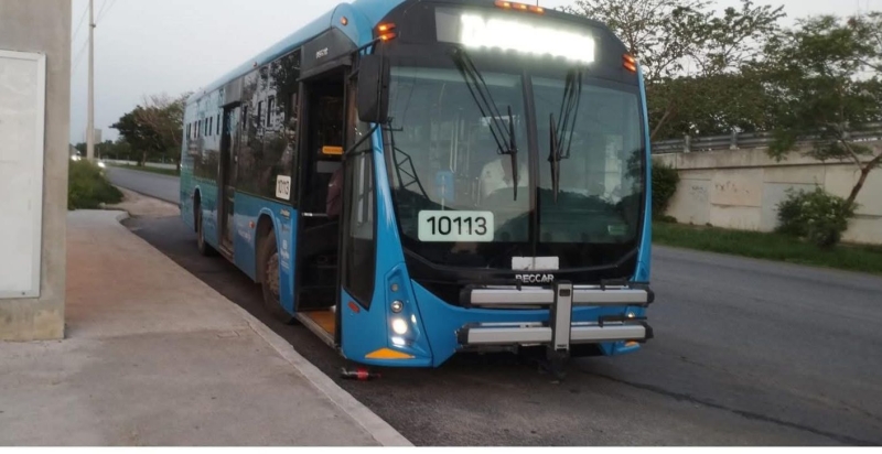Habrá sanciones si transportistas paran: ATY