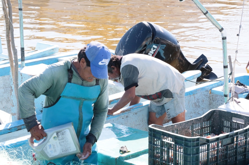 Concluye pesca del mero e inicia la veda