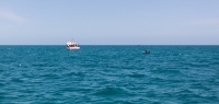Confirman extrav&iacute;o de otro pescador