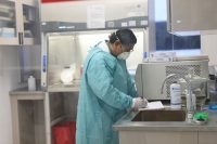 Suman 31 muertos por coronavirus en Yucat&aacute;n&nbsp;