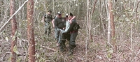 Localizan a persona extraviada en montes de Pist&eacute;