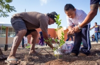 Ni&ntilde;as, ni&ntilde;os y j&oacute;venes con discapacidad reforestan sur de M&eacute;rida