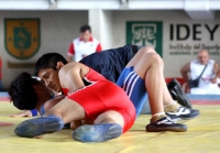 Cerca de 250 atletas participar&aacute;n en torneo de lucha grecorromana