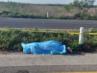 Hallan mujer muerta en la carretera M&eacute;rida-Motul
