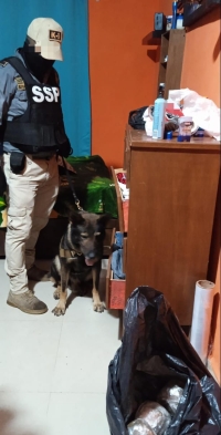 Decomisan droga en Dzununc&aacute;n