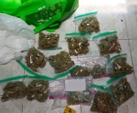 Decomis&oacute; FGR m&aacute;s de un kilo de marihuana en Fraccionamiento del Parque