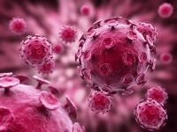 VPH, tabaquismo y pobreza, causas del c&aacute;ncer cervicouterino en M&eacute;xico