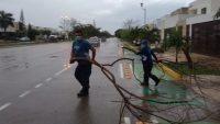 Reportan afectaciones tras intensa lluvia en M&eacute;rida