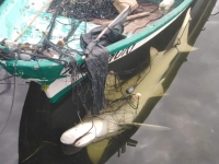 Capturan tibur&oacute;n en Dzilam de Bravo