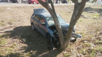 Conductora se impacta contra &aacute;rbol