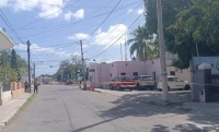 Reportan m&uacute;ltiples lesionados por ataque de abejas en el Centro de M&eacute;rida