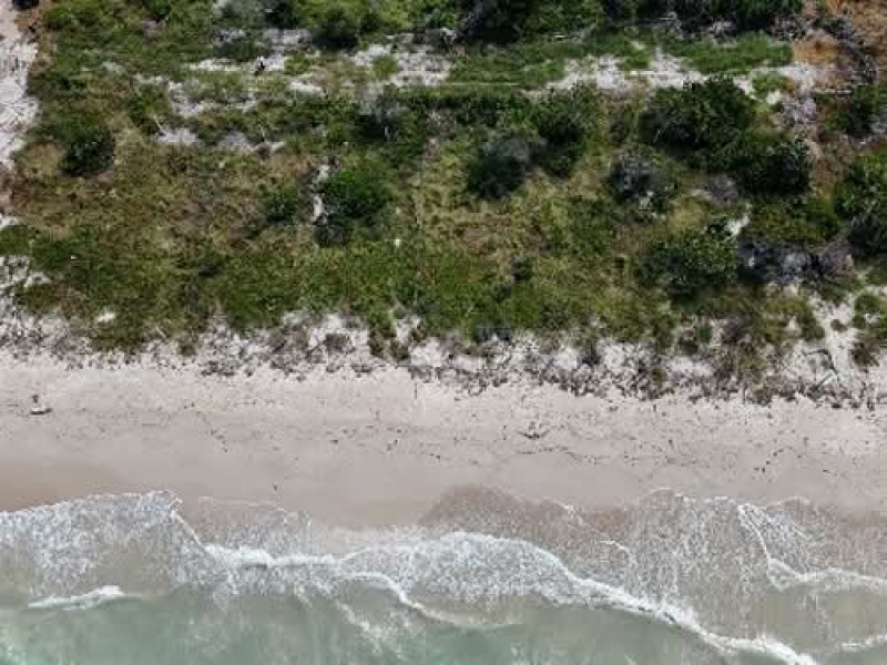 Clausuran obras en Reserva de la Biósfera Ría Celestún