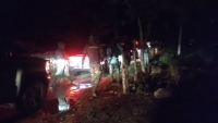 Desmantelan plant&iacute;o de marihuana en Baca