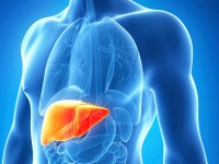 Hepatitis C, la m&aacute;s frecuente y riesgosa