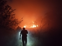 Incendio moviliza a bomberos al oriente de M&eacute;rida