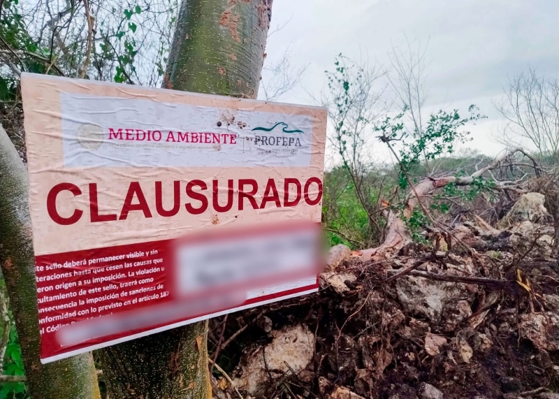 Clausura Profepa predio en reserva Cuxtal