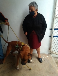 Liberan a "Braulio" tras gestiones de activistas&nbsp;