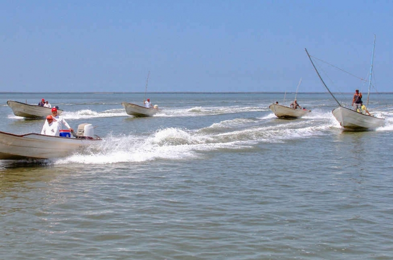 Frente frío 44 paraliza la pesca
