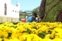 Cambia de sede &ldquo;Camino de Flores&rdquo;