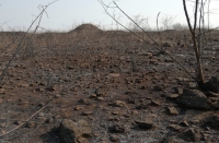Incendio afecta gran parte de la zona arqueol&oacute;gica de Oxkintok