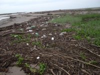 Residuos de Covid-19 podrían sumarse a la contaminación de los océanos