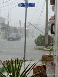 &Aacute;rboles y postes ca&iacute;dos por fuertes lluvias