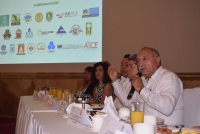 Anuncian la creaci&oacute;n de colectivo Sinergia en Acci&oacute;n
