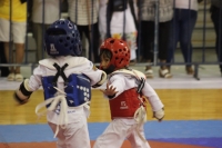 Agrupaci&oacute;n Mexicana de tae kwon do, brilla en torneo nuevos valores