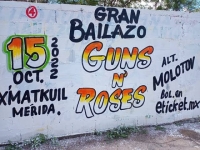 Renta de X'matkuil para&nbsp;&ldquo;Gran Bailazo" de Guns N' Roses cost&oacute; 232 mil pesos
