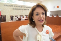 Iepac analiza irregularidades de Sof&iacute;a Castro y Santiago Alamilla